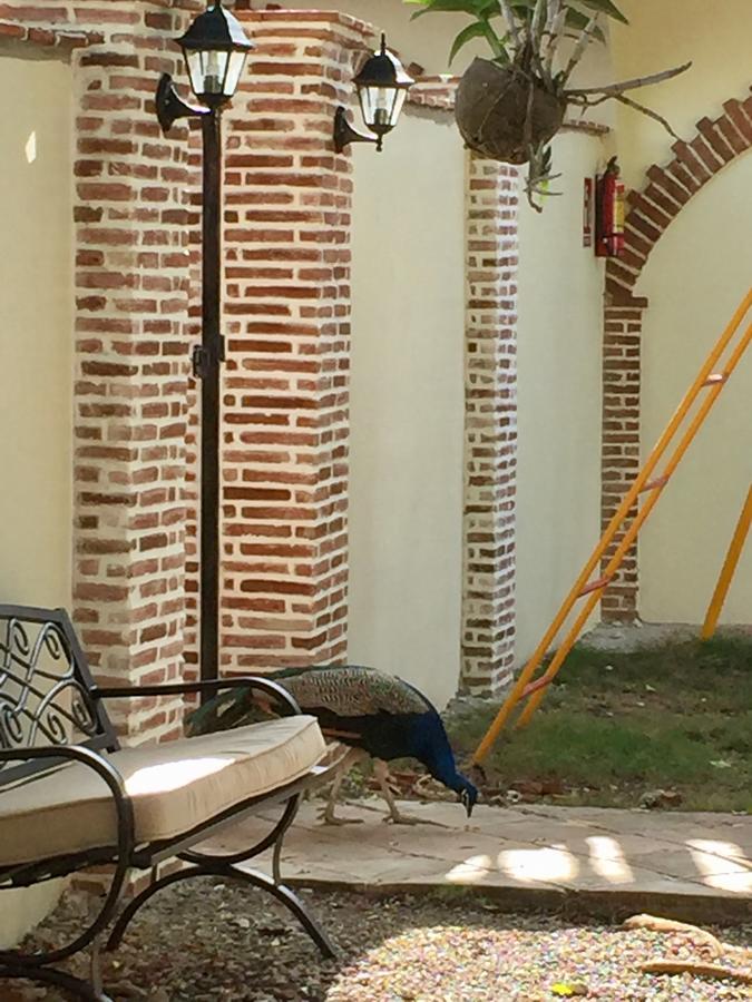 بونتا كانا Hotel Yamili المظهر الخارجي الصورة